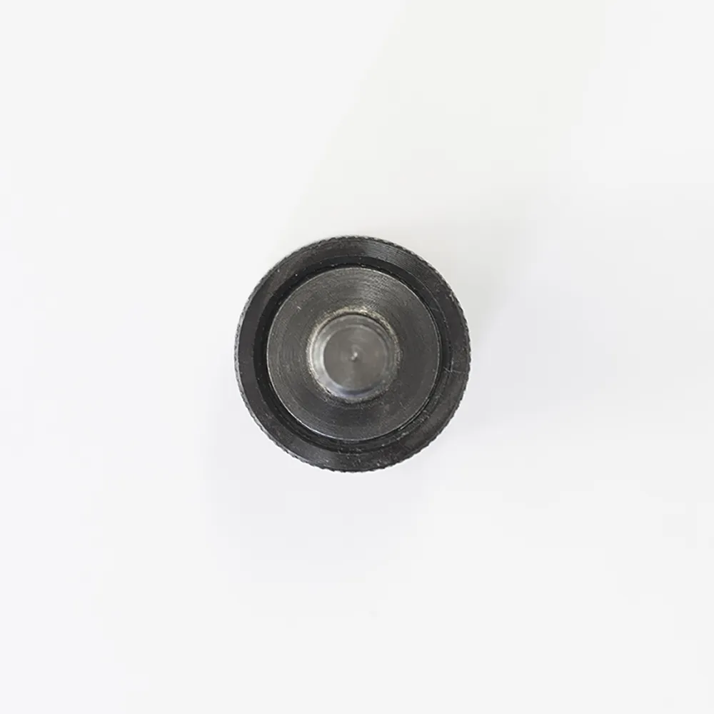 Spina elastica