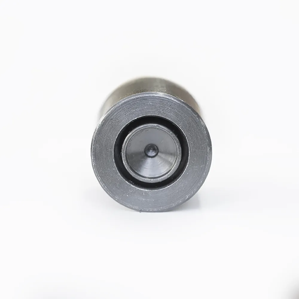 Spina elastica