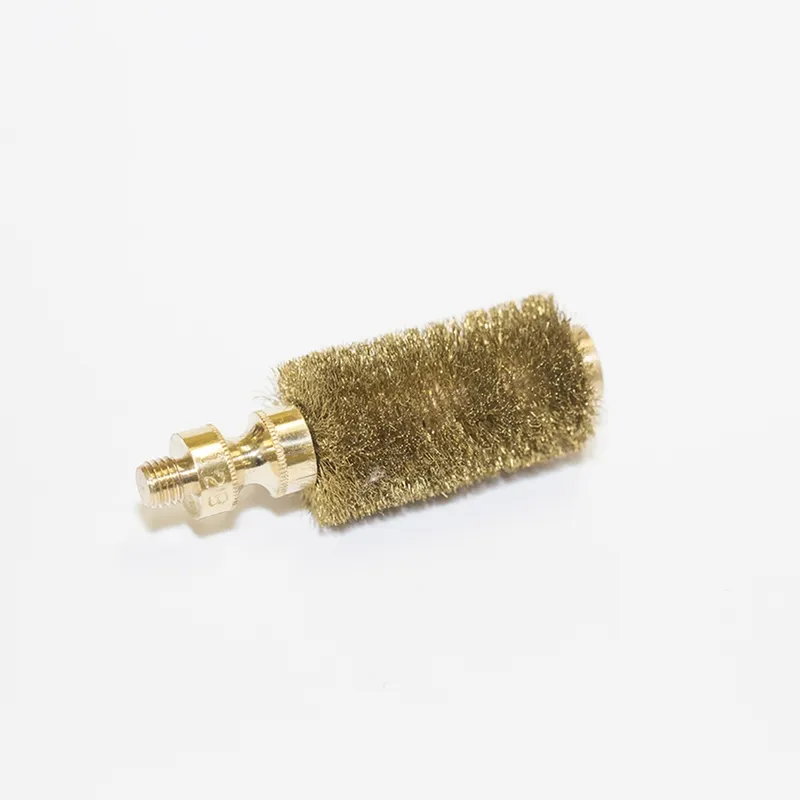 Spina elastica