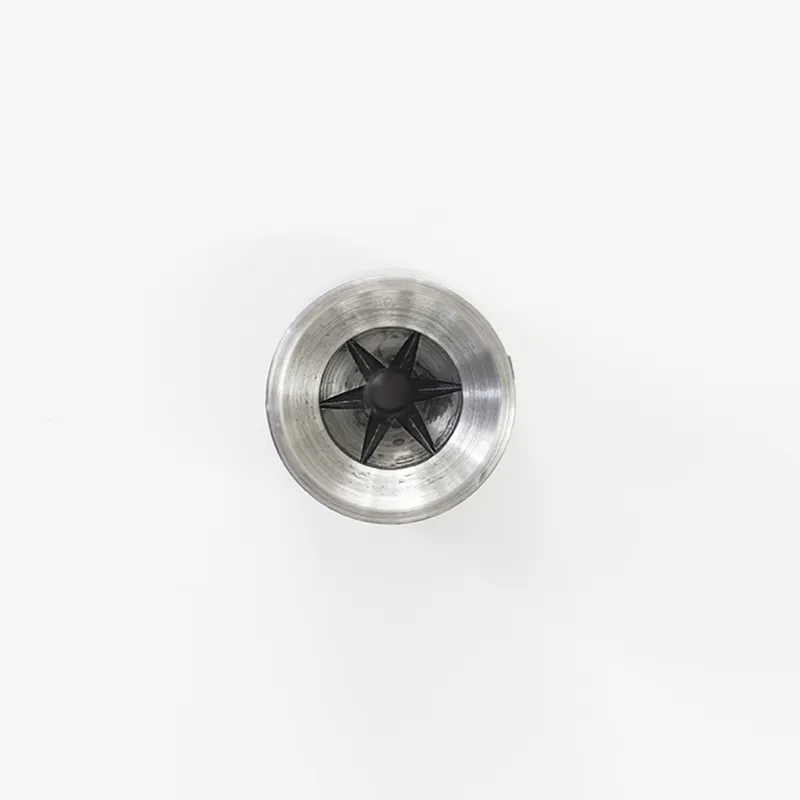Spina elastica