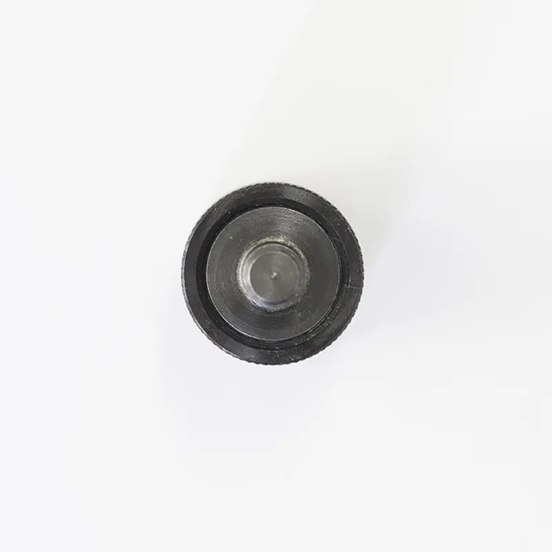 Spina elastica