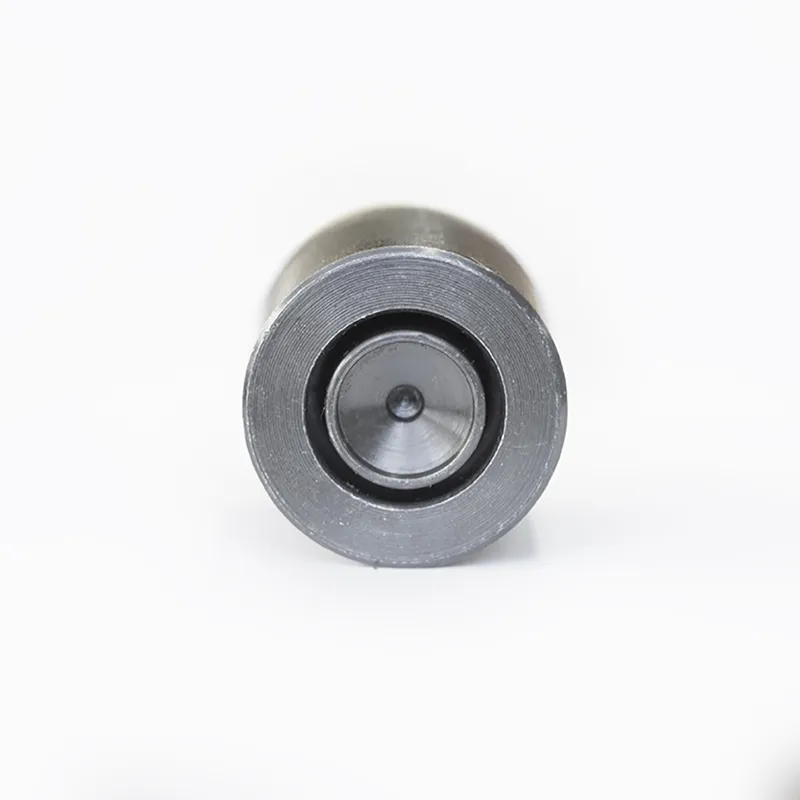 Spina elastica